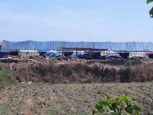 Gia Lai - Phú Thiện: Xã Chư A Thai Cơ sở làm than - tồn tại vấn nạn phá rừng và ô nhiễm môi trường